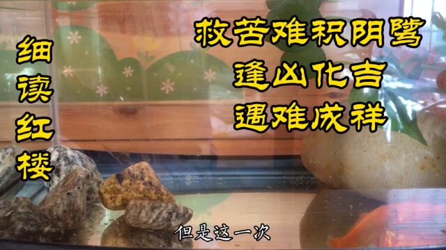 救苦难积阴骘,逢凶化吉遇难成祥;打抽丰渡难关,勤劳致富知恩图报