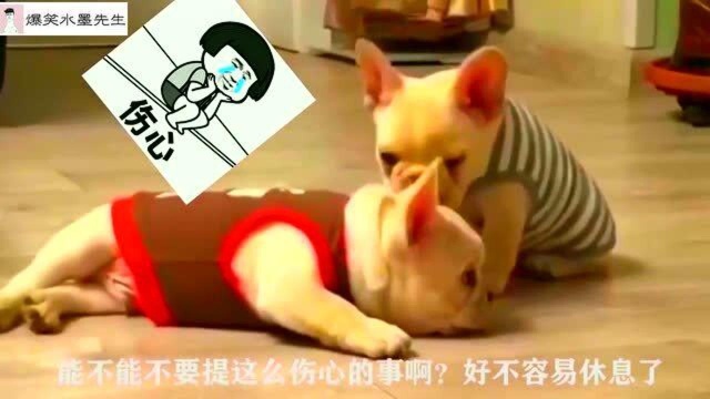 哎,让我睡会儿吧,作业?能不能不要提这么伤心的事