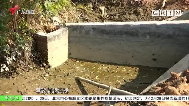 江门新会:在建公路施工后 蔗田频频被水浸