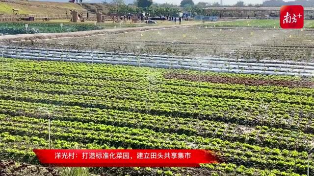 探索土地流转新路子,潮州新年“首会”开到“希望的田野”上