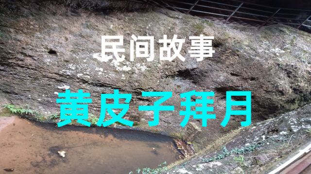 民间故事《黄皮子拜月》有一年夏天关东地区大旱