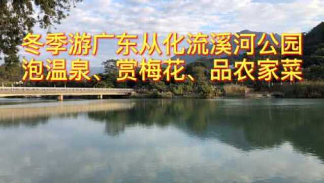 冬游广州从化流溪河森林公园,泡温泉、赏梅花、品农家菜