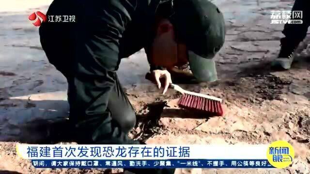 打破“恐龙”空白!福建首次发现恐龙存在的证据 结束无恐龙历史