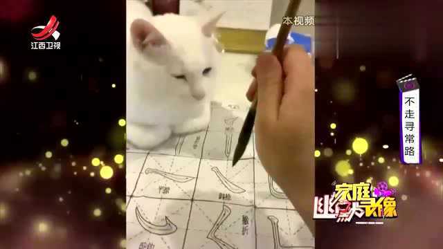 这是只看得懂中文的猫咪吧:但凡关系到我生命的字,不许你写出来