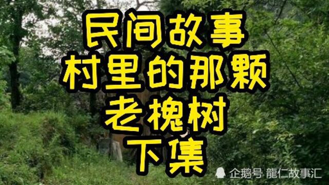 民间故事,村里的那颗老槐树,下集