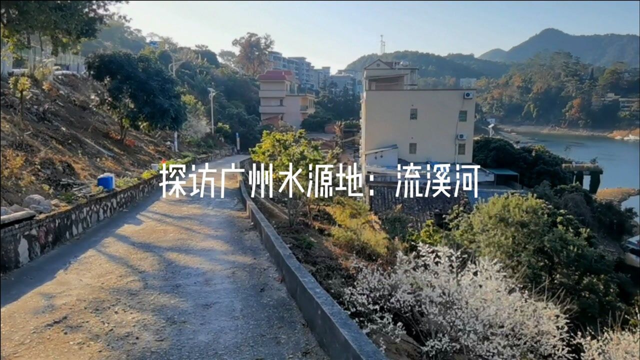 探访广州水源地流溪河,看到分布着大大小小的小岛,叹:像千岛湖