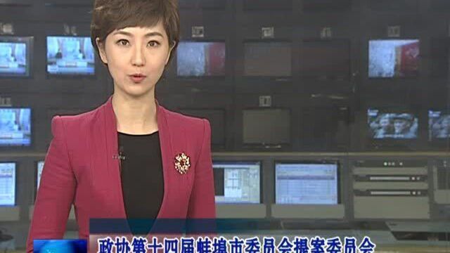 政协第十四届蚌埠市委员会提案委员会关于十四届四次会议提案审查情况的报告