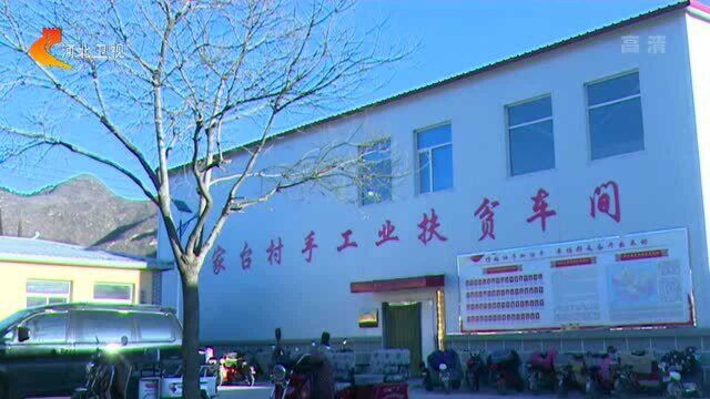 阜平:精准布局扶贫产业 好政策带来好“钱”景