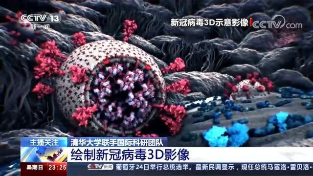 清华大学联手国际科研团队,绘制新冠病毒3D影像