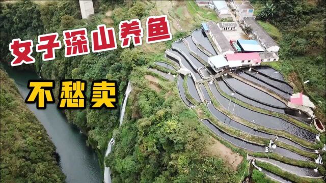 贵州一女子深山用泉水养鱼,年收入200多万,根本不愁销量