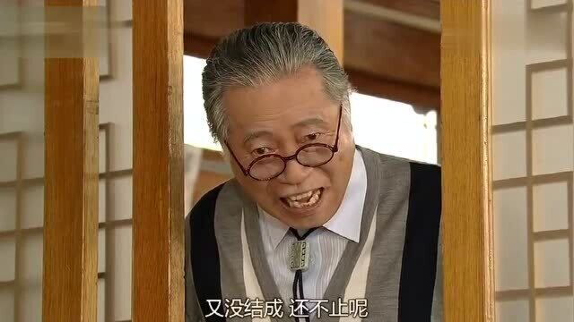 松药店的儿子们:孙子不结婚,爷爷出奇招!