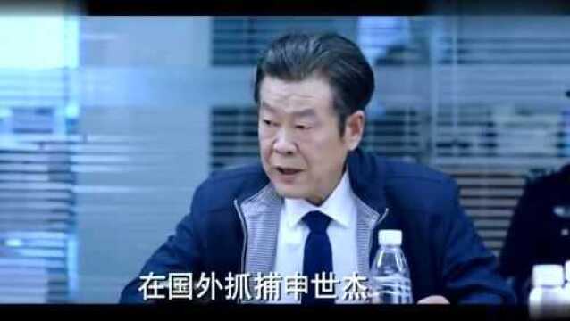 封氏集团彻底覆灭,封勇封猛都被抓住,只有申世杰逍遥法外