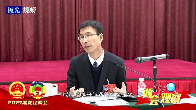 两会V观察丨省人大代表李成志:打造政府平台 培育优秀企业