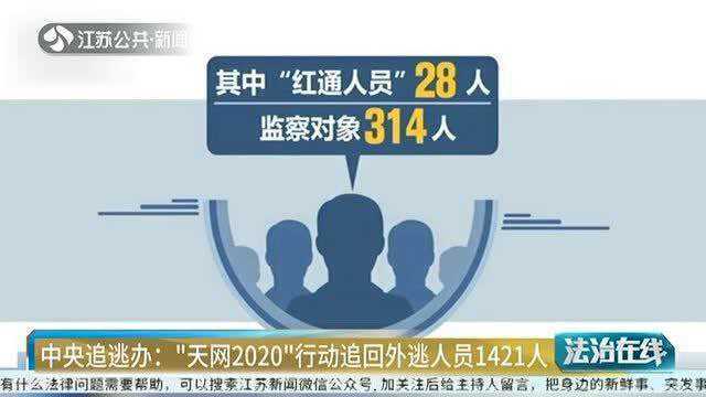 “天网2020”行动追回外逃人员1421人 追回赃款29.5亿元