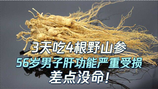 山参也能吃出人命?3天吃4根野山参 56岁男子肝功能严重受损 差点没命!