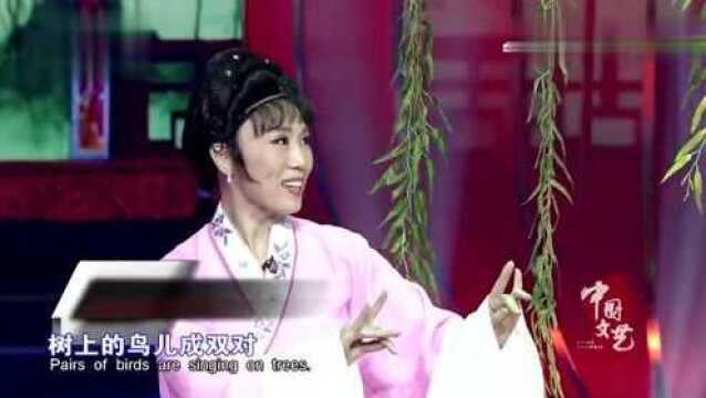 黄梅戏《夫妻双双把家还》演唱:李晓东 吴琼