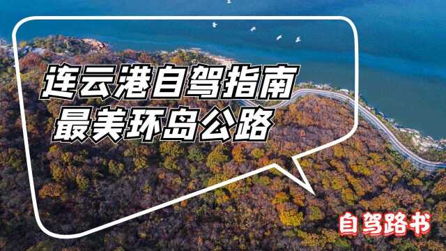 自驾连云港连岛,揽海听风天水一色,“醉”美环岛公路不能错过!