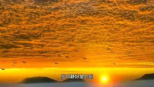 自愈系风景:一地鸡毛才是日常.活着哪有容易二字