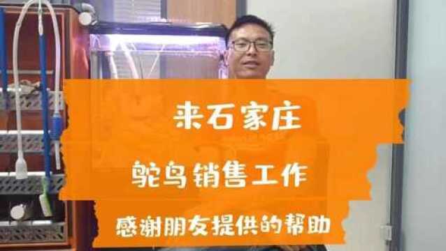 来石家庄做鸵鸟销售工作,朋友知道创业不易,提供住宿,非常感谢