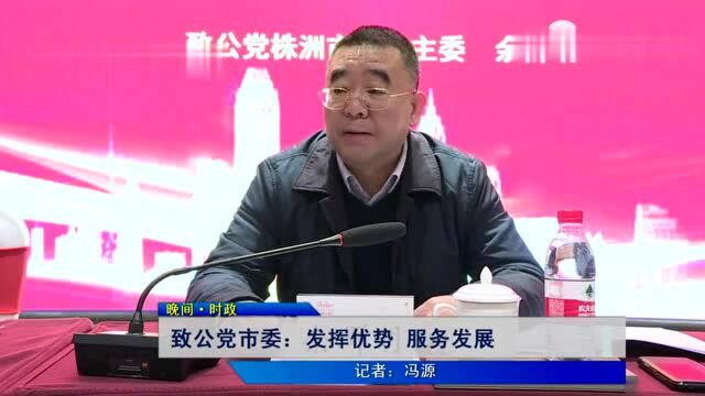 致公党株洲市委会:发挥优势 服务发展