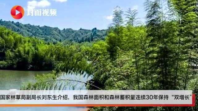 国家林草局:我国森林面积和森林蓄积量连续30年保持“双增长”