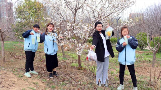 春游1:老师带同学们来公园看樱花,有白的有粉的,太漂亮了