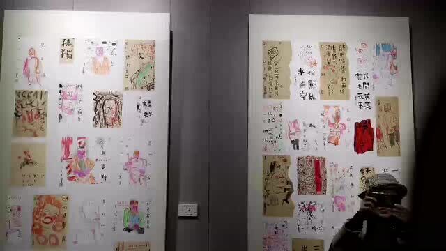 当代水墨画全国巡展成都首展请听策展人苏晓晗介绍