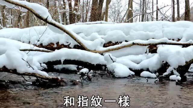 业障深重的人,身上都有这个味道,出家人建议这样消除