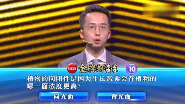 一站到底:“兰桂齐芳”中的“兰桂”通常指的是什么?