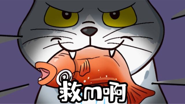 为什么有人说猫咪不能吃鱼?那么如何正确给猫咪喂鱼?