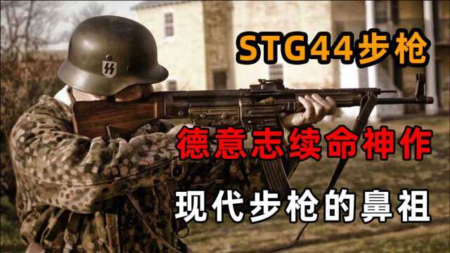 stg44步枪视频完成