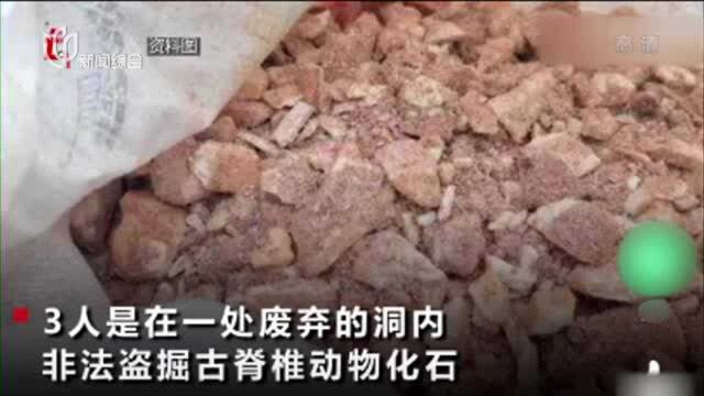 陕西3男子盗挖“土龙骨”被埋身亡