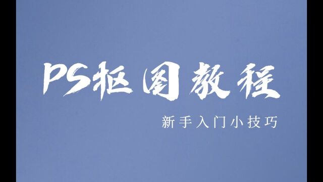 【PS抠图教程】PS新手入门小技巧|PS头纱婚纱抠图质感处理