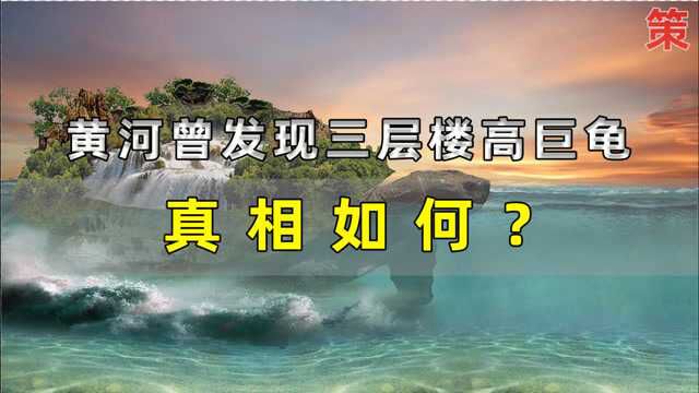 相传1965年,黄河发现三层楼高的巨龟,不久后又神秘失踪,真相如何?