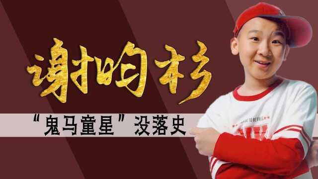 五岁出道,三登春晚,从童星到过气演员,小叮当谢昀杉经历了什么