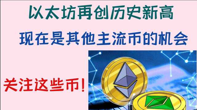 以太坊再创历史新高!资金从比特币溢出,现在应该关注哪些币种?