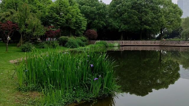 橘子洲 省两型及生态文明建设展馆随拍 构思未来 铸就美好………