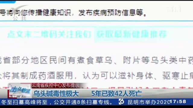 已经导致42人死亡!草乌、附片毒性极大 !食用不当要命!