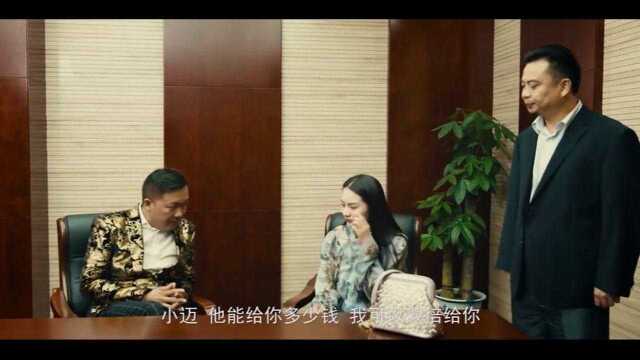 狂飙的蜗牛:美女设计圈套,骗子头目成功上当,好戏即将上映