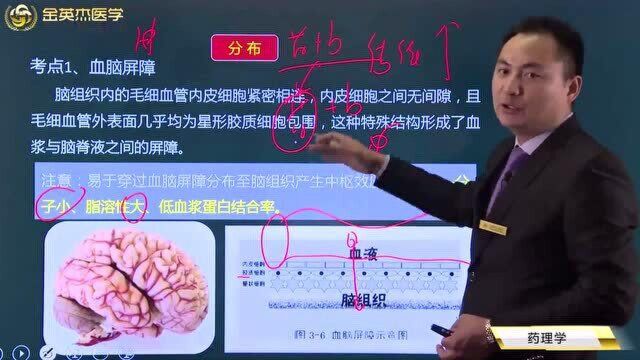 临床核心考点全攻略08药理学02药物代谢动力学02分布1血脑分布