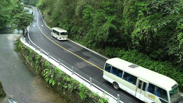 张家界宝峰湖:600余人这样过“520”!