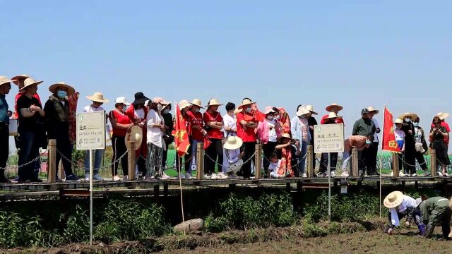 黑龙江省宁安市:喜迎旅发会 相约御膳田