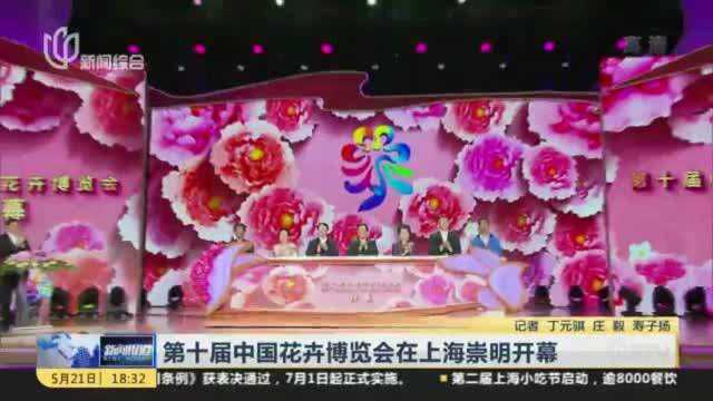 第十届中国花卉博览会在上海崇明开幕