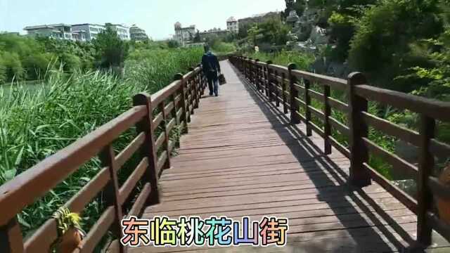 山东这个景点门票免费,游客可以随意进出,当地:不来会后悔!