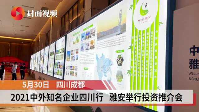 2021名企四川行|建设成渝双城经济圈绿色产业发展高地 雅安签约66个项目揽金690亿元