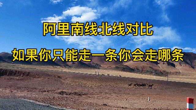 阿里南北线您只打算走一条的话你会选哪条?