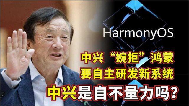 不使用鸿蒙系统就被群嘲,中兴太冤了?中兴遭冷眼其实另有原因?