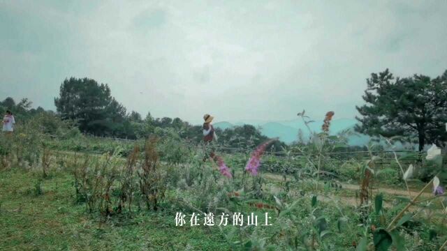 春风十里的仙女山,重庆武隆仙女山景区