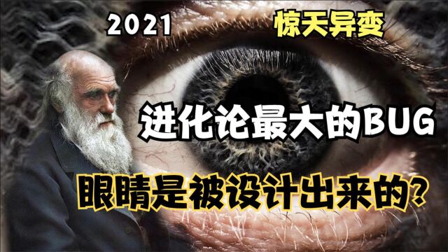 2021惊天异变,眼睛是被设计出来的?进化论最大的BUG出自眼睛