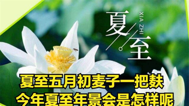 夏至五月初,麦子一把麸”,今年夏至在五月端吗?年景怎样?